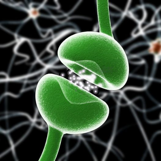 Research and Innovation Department